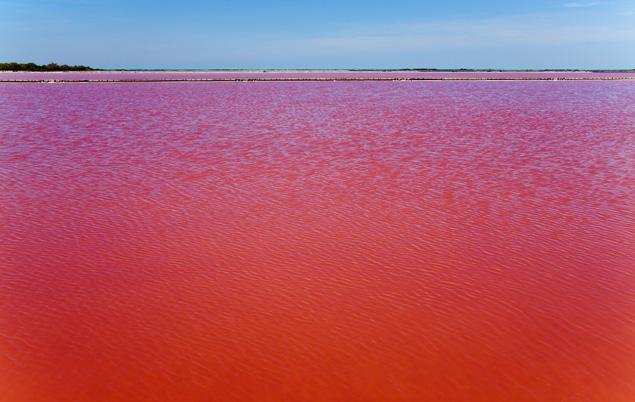 red lake