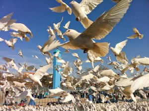 5666186613_b958cb65a0_b