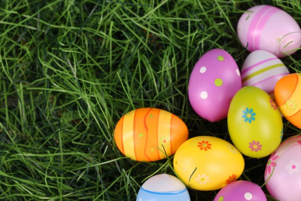 Colourful easter eggs on grass