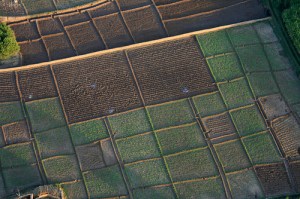 2050740494_3b05ae9326