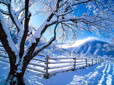 nature-wallpaper-snow-wallpaper-1024x768