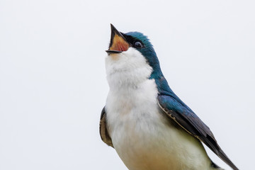 240_F_260292907_EkY6WD3sWi0xaV7i6xrGn3UtuydDz9T4