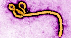 650x350_ebola